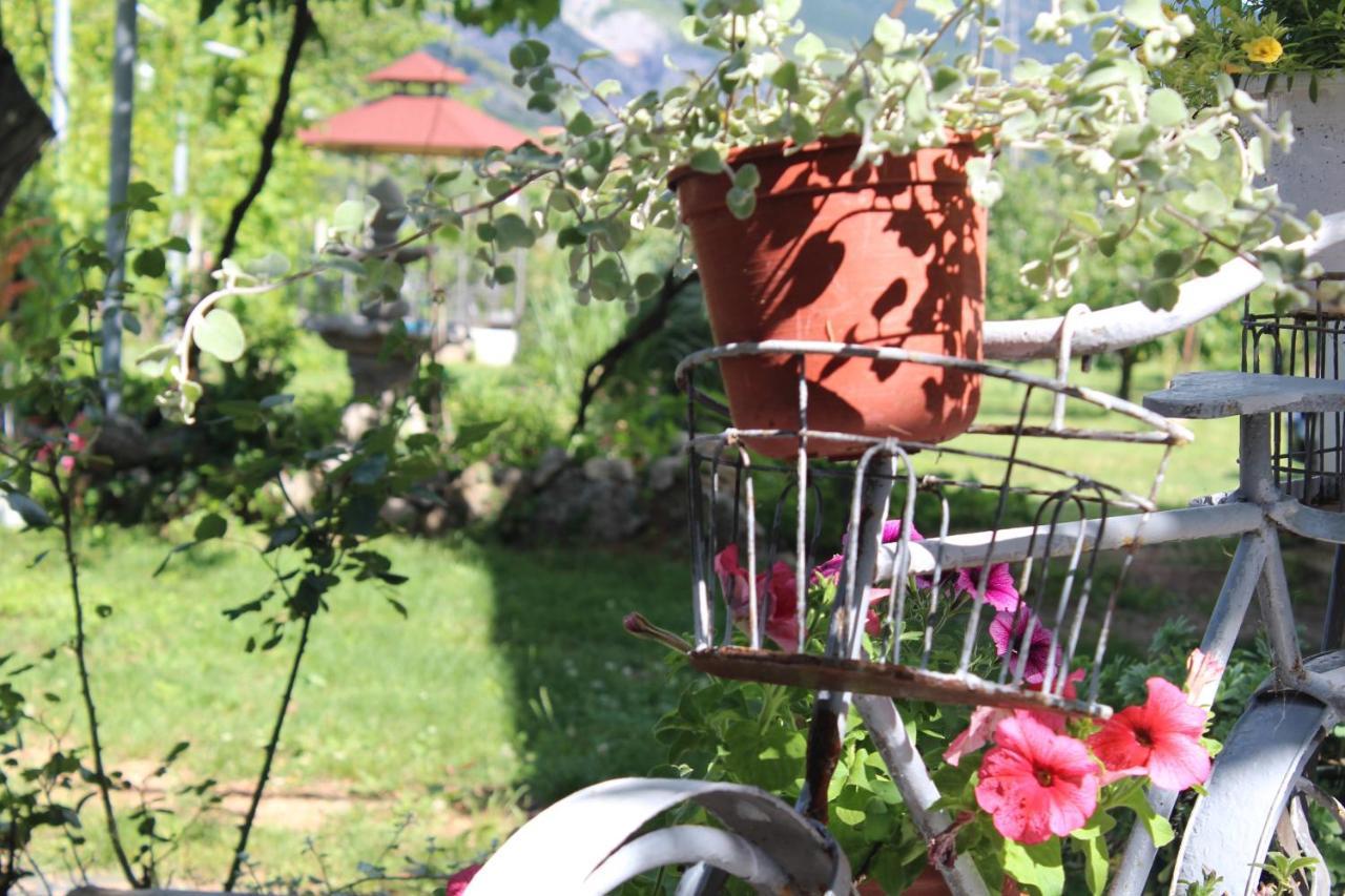 Casa Botanica Villa Blagaj Luaran gambar