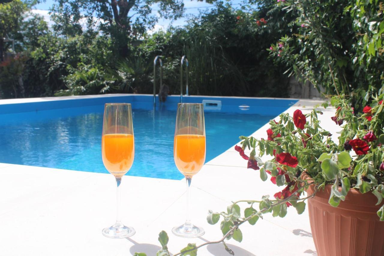 Casa Botanica Villa Blagaj Luaran gambar